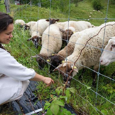 La Vieille Ferme, Ecogite Saint-Fulgence Luaran gambar