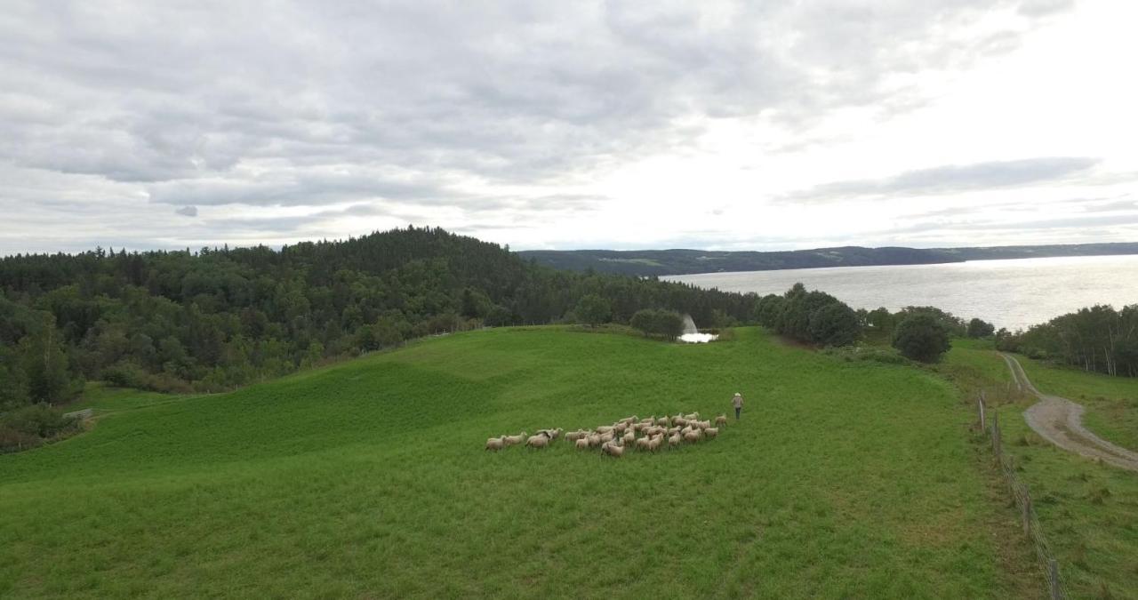 La Vieille Ferme, Ecogite Saint-Fulgence Luaran gambar